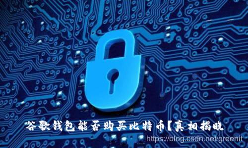 谷歌钱包能否购买比特币?真相揭晓