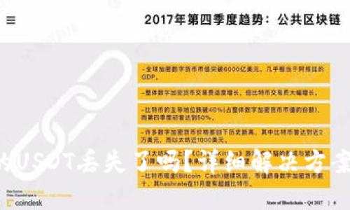 OTC钱包中的USDT丢失了吗?详细解决方案与预防措施