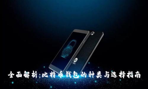 全面解析:比特币钱包的种类与选择指南