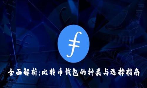 全面解析:比特币钱包的种类与选择指南