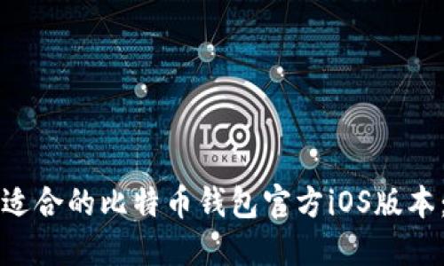 如何选择适合的比特币钱包官方iOS版本:全面指南