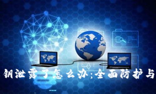 TP钱包私钥泄露了怎么办:全面防护与应对指南