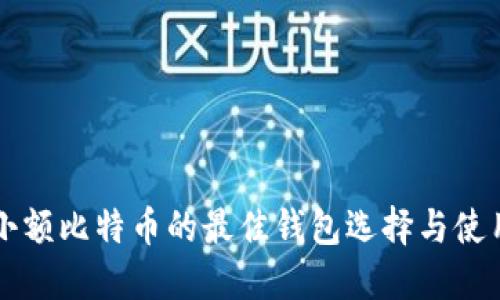 发送小额比特币的最佳钱包选择与使用指南
