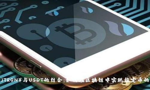 波场(TRON)与USDT的结合:如何在区块链中实现稳定币的价值