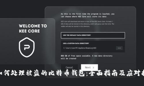 : 如何处理被盗的比特币钱包:全面指南及应对措施