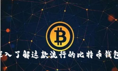 Gemini：深入了解这款流行的比特币钱包及其功能